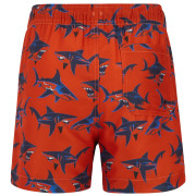 Costum de baie copii Regatta Skander RusOranShark