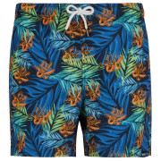 Costum de baie bărbați Regatta Loras Swim Short