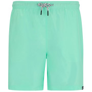 Pantaloni scurți bărbați Regatta Mackleyna Swim Short