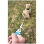 Lesă pentru câini Curli Ultra Strong Pocket Leash