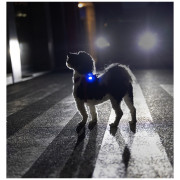 Lumină LED pentru câini Curli Luumi Safety LED Lights rechargeable