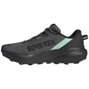 Încălțăminte de alergat pentru femei Adidas Terrex Tracefinder Plus Gtx
