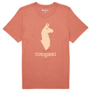 Tricou bărbați Cotopaxi Cotopaxi Llama T-Shirt