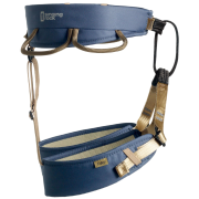 Ham Singing Rock Ray