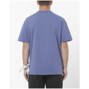 Tricou bărbați Salomon Wild Rays Label SS Tee
