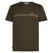 Tricou bărbați Icebreaker Men Merino 150 Tech Lite SS Tee Range Stripes maro închis DK Loden