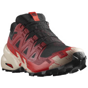 Încălțăminte de alergat pentru bărbați Salomon Speedcross 6 Gore-Tex