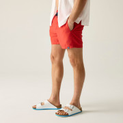 Costum de baie bărbați Regatta Mawson Swim Shorts III