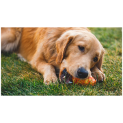 Jucărie pentru câini Ruffwear Gnawt-a-Cone™ Toy