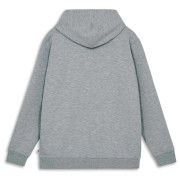 Hanorac copii Lego Wear Lwsato 202 Grey