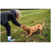 Jucărie pentru câini Mountain Paws Rubber Throw Dog Toy
