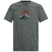 Tricou bărbați Regatta Fingal gri DkStrmMrl