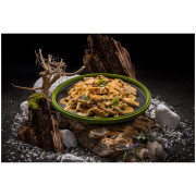 Mâncare deshitradată Adventure Menu Penne din proteină de greier cu pui în sos de cremă creolă