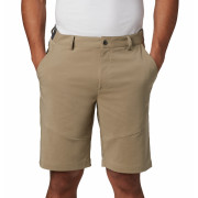 Pantaloni scurți bărbați Columbia Tech Trail Short bej