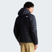Geacă bărbați The North Face M Classic Down Hooded Jacket