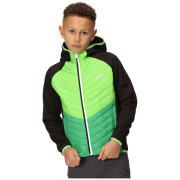 Geacă copii Regatta Kielder HybridVII