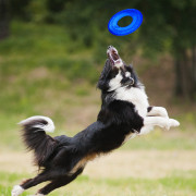 Jucărie pentru câini Nerf Dog Translucent TPR Tire Flyer 25 cm