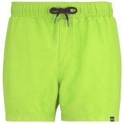 Costum de baie bărbați Regatta Mawson Swim Shorts III