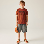 Tricou copii Dare 2b Trailbazer III Tee Arabian Spice