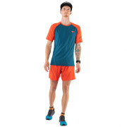 Tricou funcțional bărbați Dynafit Alpine Pro M