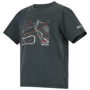 Tricou copii Regatta Alvarado Seal Grey