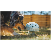 Jucărie pentru câini Ruffwear Porchini™