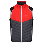 Geacă bărbați Regatta Steren Hybrid