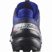 Încălțăminte bărbați Salomon Speedcross 6 Gore-Tex Equipe
