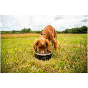 Bol pentru câini Mountain Paws Basecamp Dog Bowl