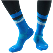 Șosete Smartwool Run Cold Weather Targeted Cushion Horizo