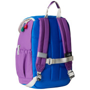 Rucsac pentru copii The North Face Y Mini Explorer