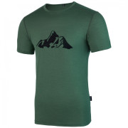 Tricou bărbați Warg Merino Mountain 165 Short Comfy verde