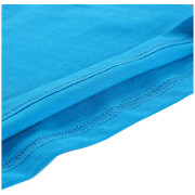 Tricou copii Alpine Pro Ecco 2 Blue