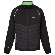 Geacă bărbați Regatta Steren Hybrid negru/gri Black(Jasmine Green)