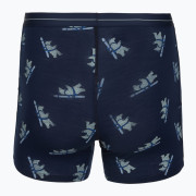 Boxeri funcționali bărbați Icebreaker Men M 150 Anatomica Boxers BearTourAOP