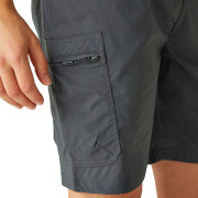 Pantaloni scurți bărbați Regatta Dalry Short