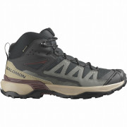 Încălțăminte bărbați Salomon X Ultra 360 Mid Gore-Tex