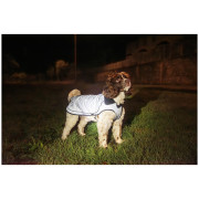 Pelerină de ploaie pentru câini Mountain Paws Reflective Fleece-Lined Dog Raincoat