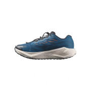 Încălțăminte bărbați Salomon Aero Blaze 4 Grvl