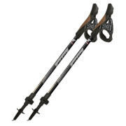 Bețe Nordic Walking Fizan R-Evolution