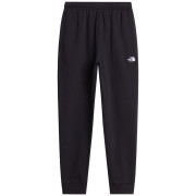 Pantaloni jogging bărbați The North Face M Evolution Simple Dome Regular Jogger negru TNF BLACK
