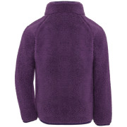 Hanorac copii Didriksons Gibbs Kids Fullzip 2 Northen Purple