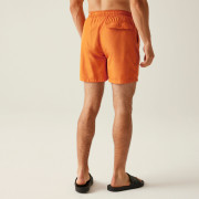 Pantaloni scurți bărbați Regatta Mackleyna Swim Short