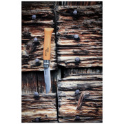 Briceag Opinel N°04 Carbon