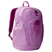 Rucsac The North Face Y Mini Recon