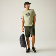 Pantaloni scurți bărbați Regatta Arlery Shorts