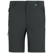 Pantaloni bărbați Regatta Anti-Insect Travel Light Z/O Trousers