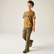 Tricou copii Regatta Alvarado Wood Brown