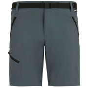 Pantaloni scurți bărbați Regatta Xert Stretch Shorts gri Dark Storm