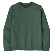 Hanorac bărbați Patagonia M's Fitz Roy Massif Daily Crew verde Canopy Green